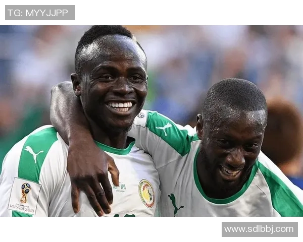 塞内加尔与土耳其强强对决集结赛前分析与展望